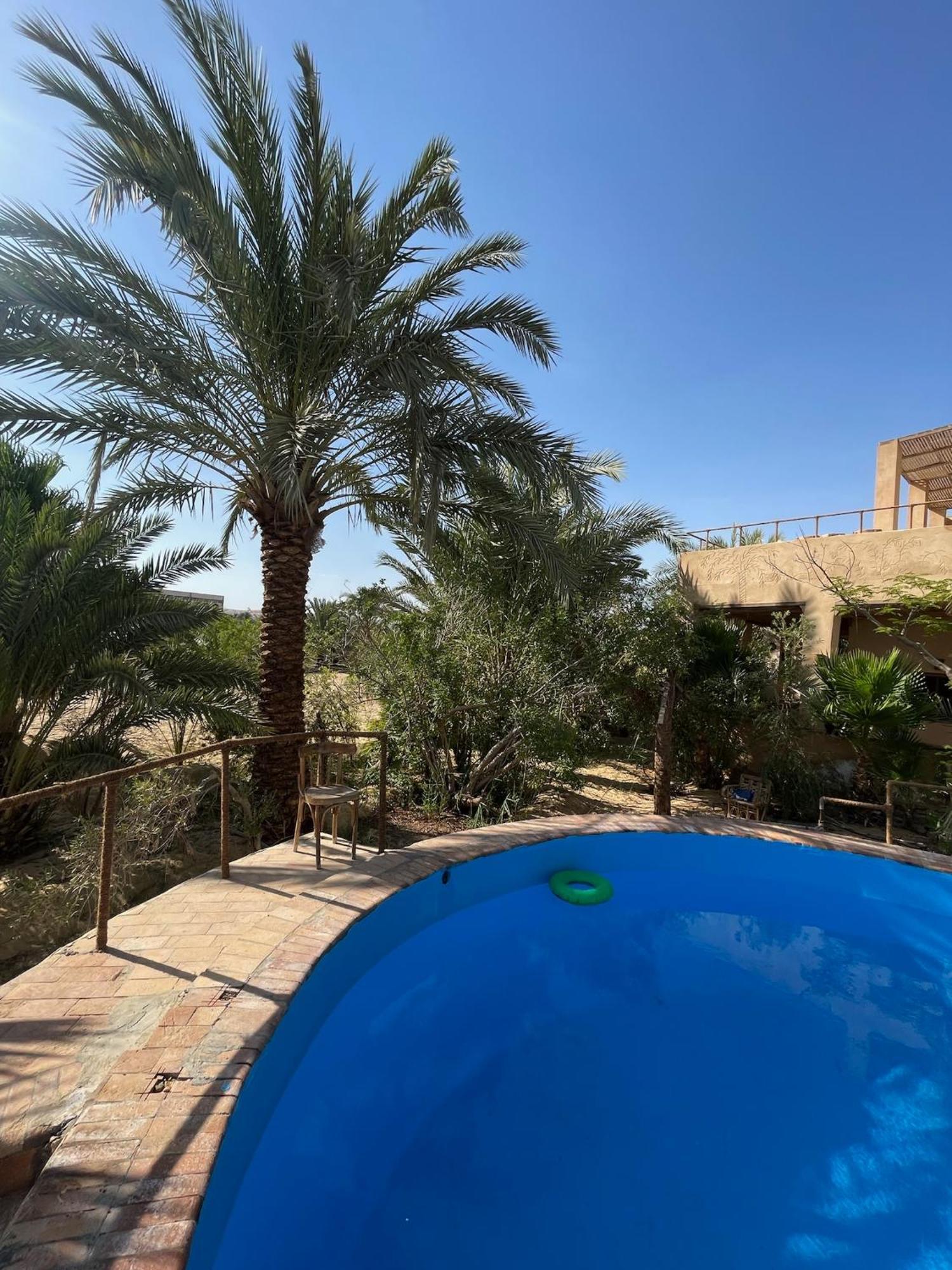 The Nest Hotell Siwa Oasis Exteriör bild