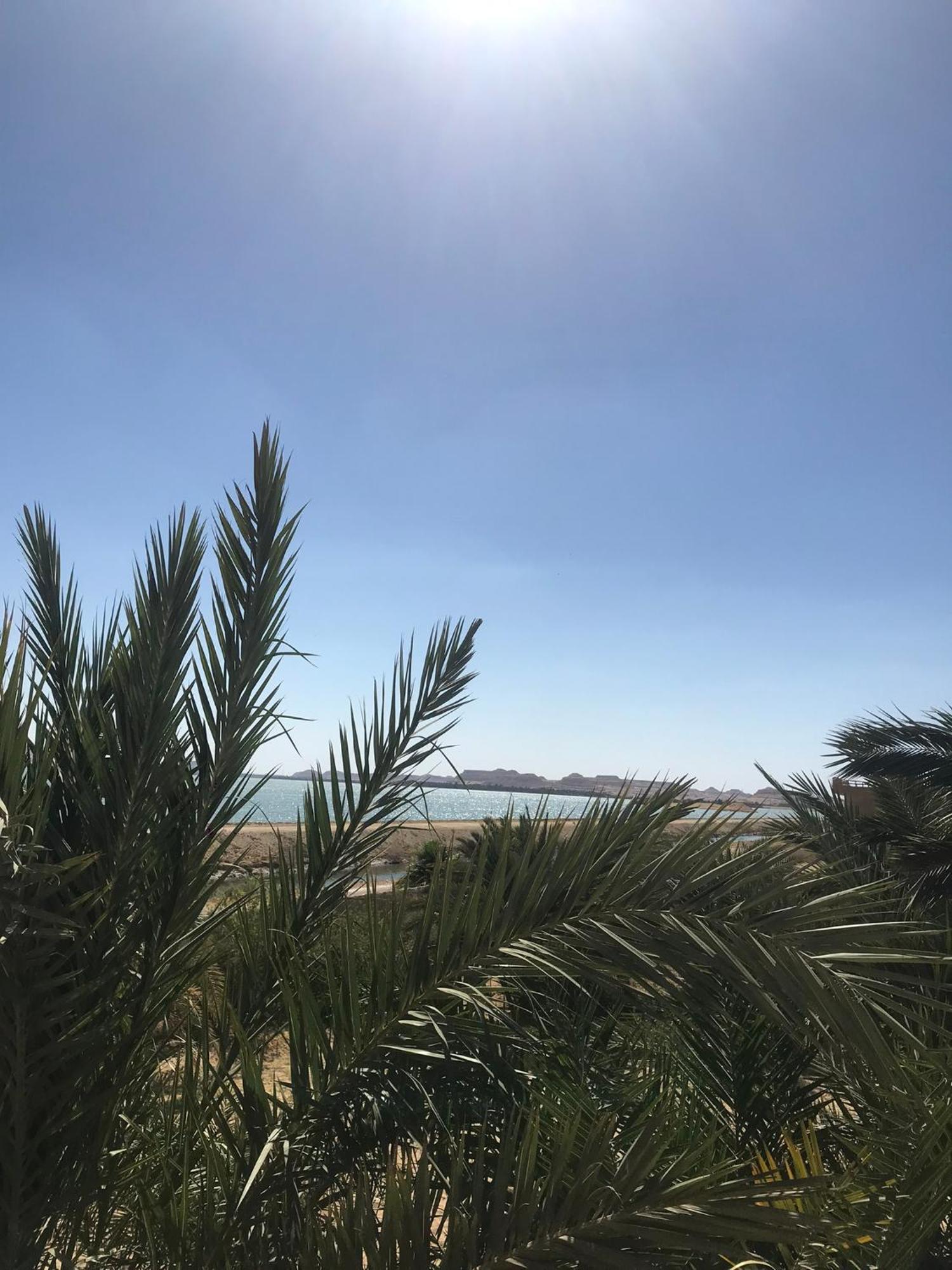 The Nest Hotell Siwa Oasis Exteriör bild