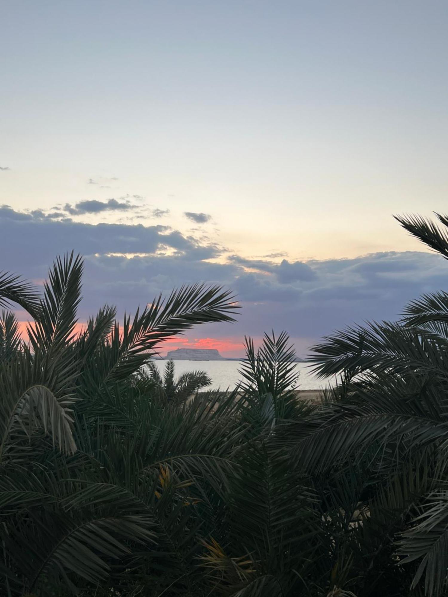 The Nest Hotell Siwa Oasis Exteriör bild