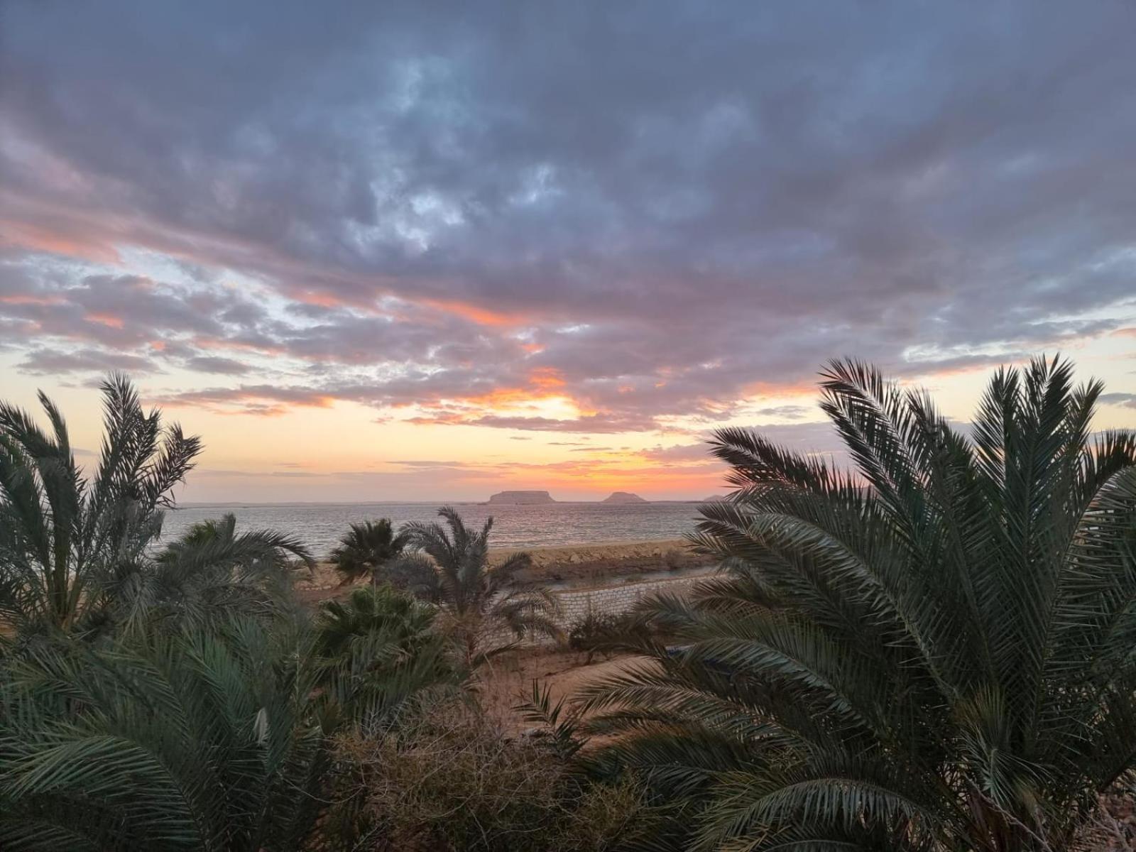 The Nest Hotell Siwa Oasis Exteriör bild
