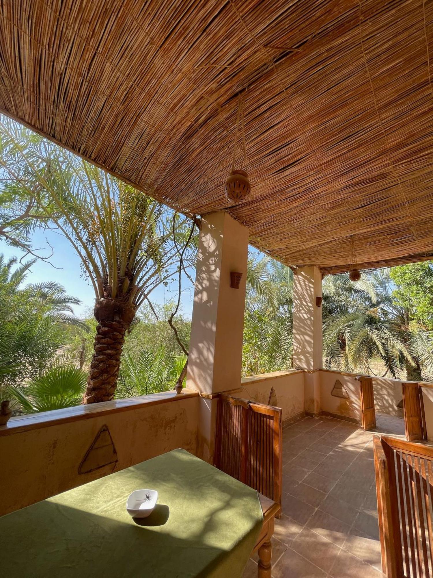 The Nest Hotell Siwa Oasis Exteriör bild