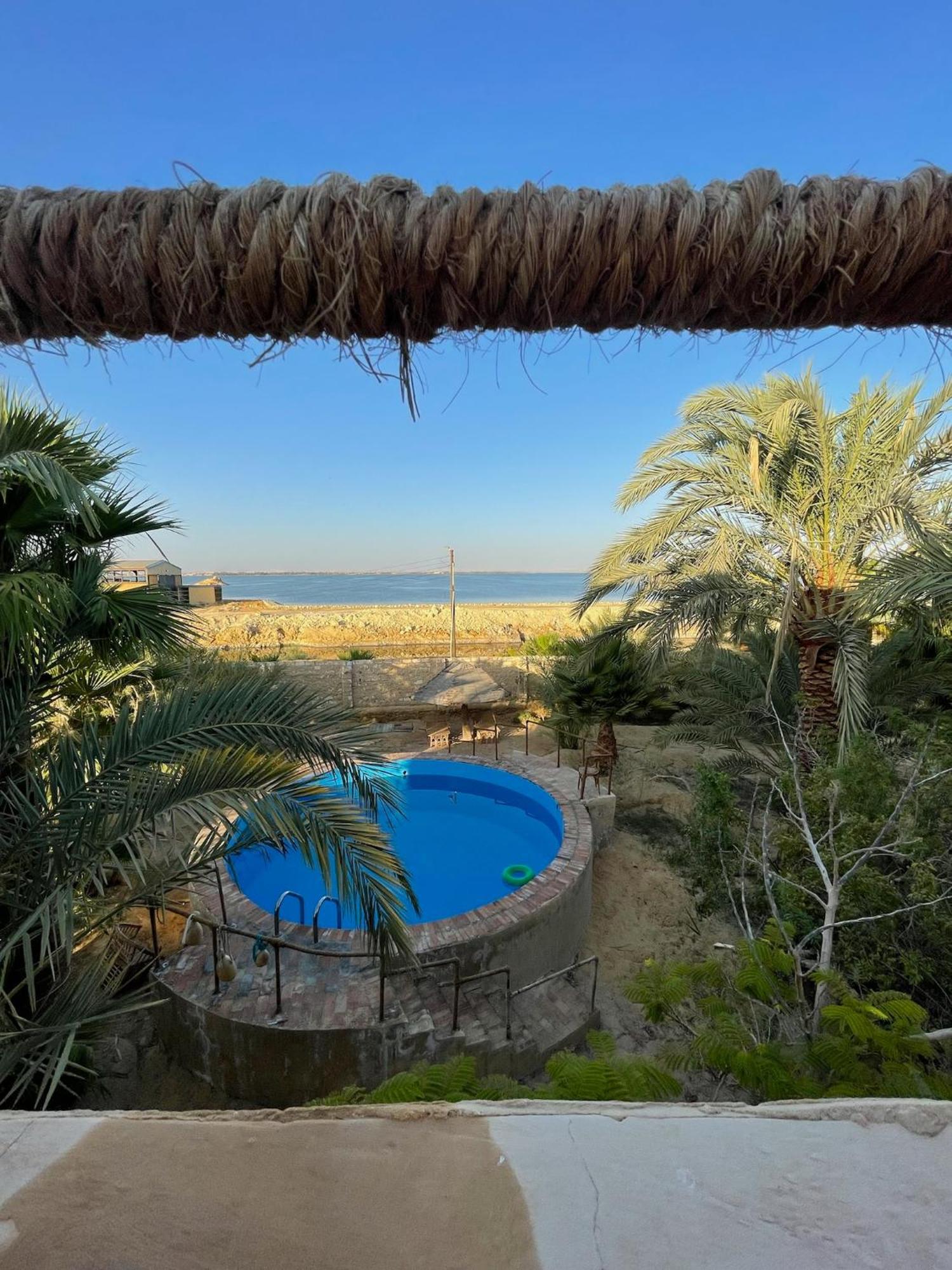 The Nest Hotell Siwa Oasis Exteriör bild