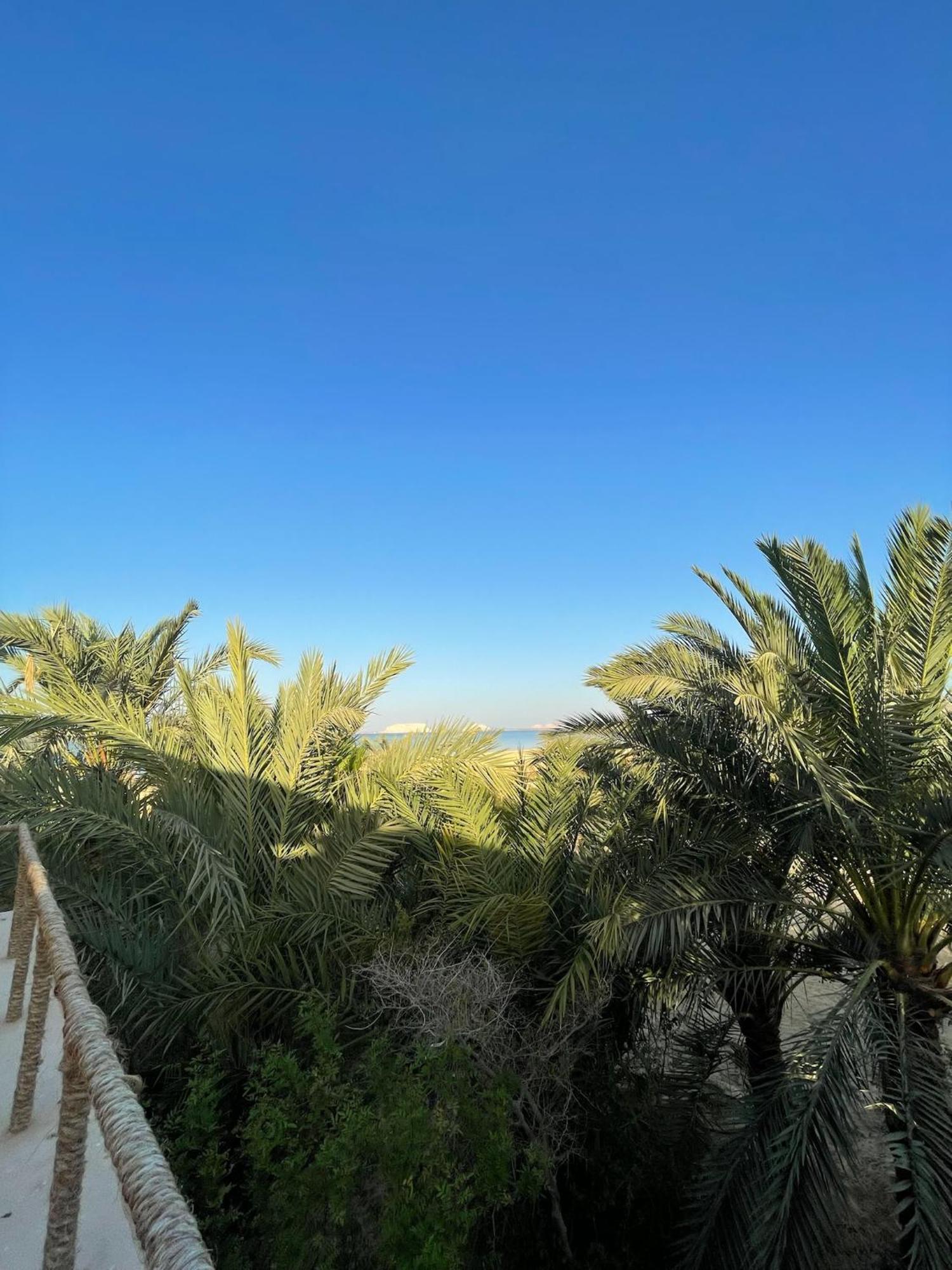 The Nest Hotell Siwa Oasis Exteriör bild
