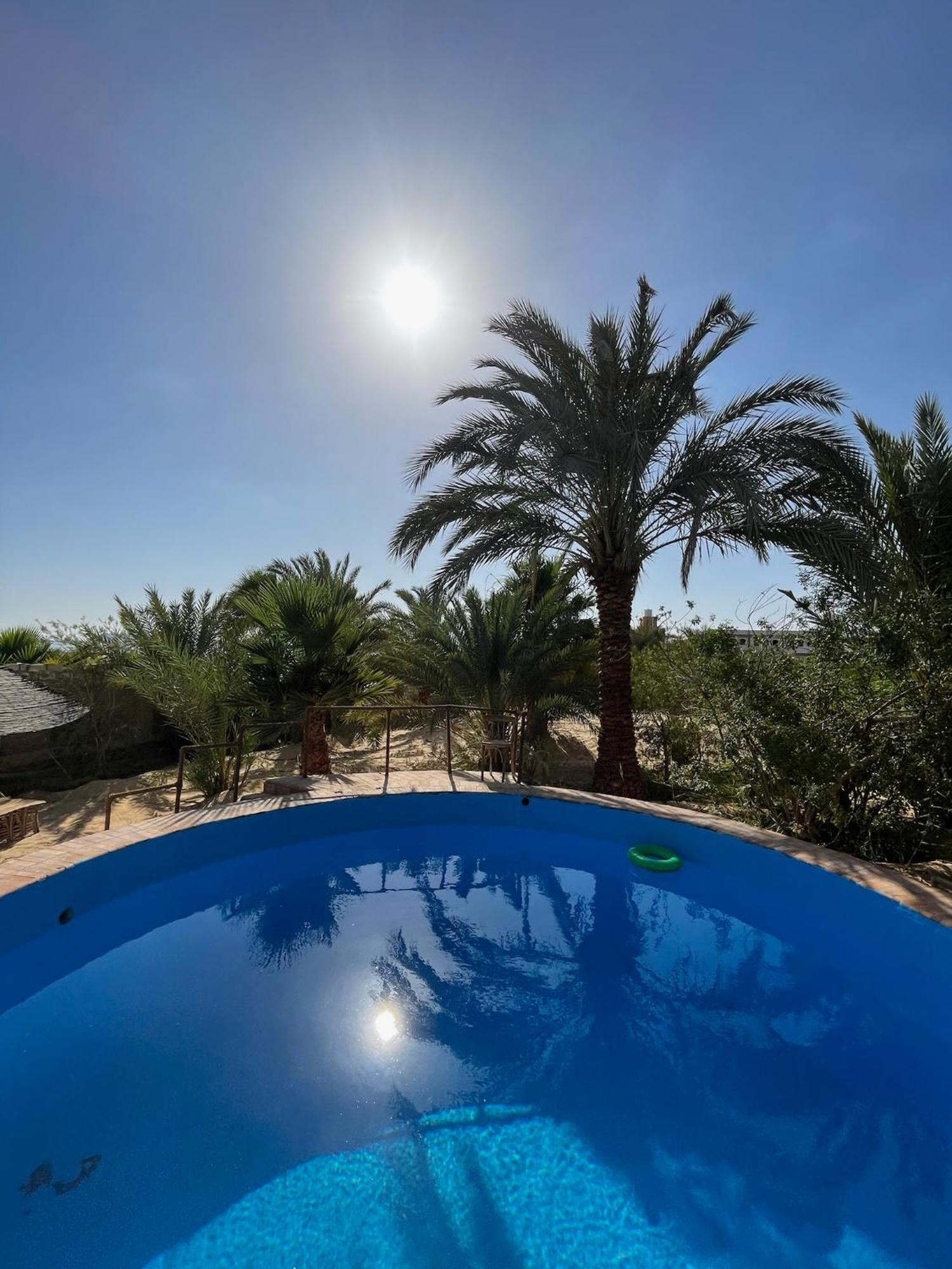 The Nest Hotell Siwa Oasis Exteriör bild
