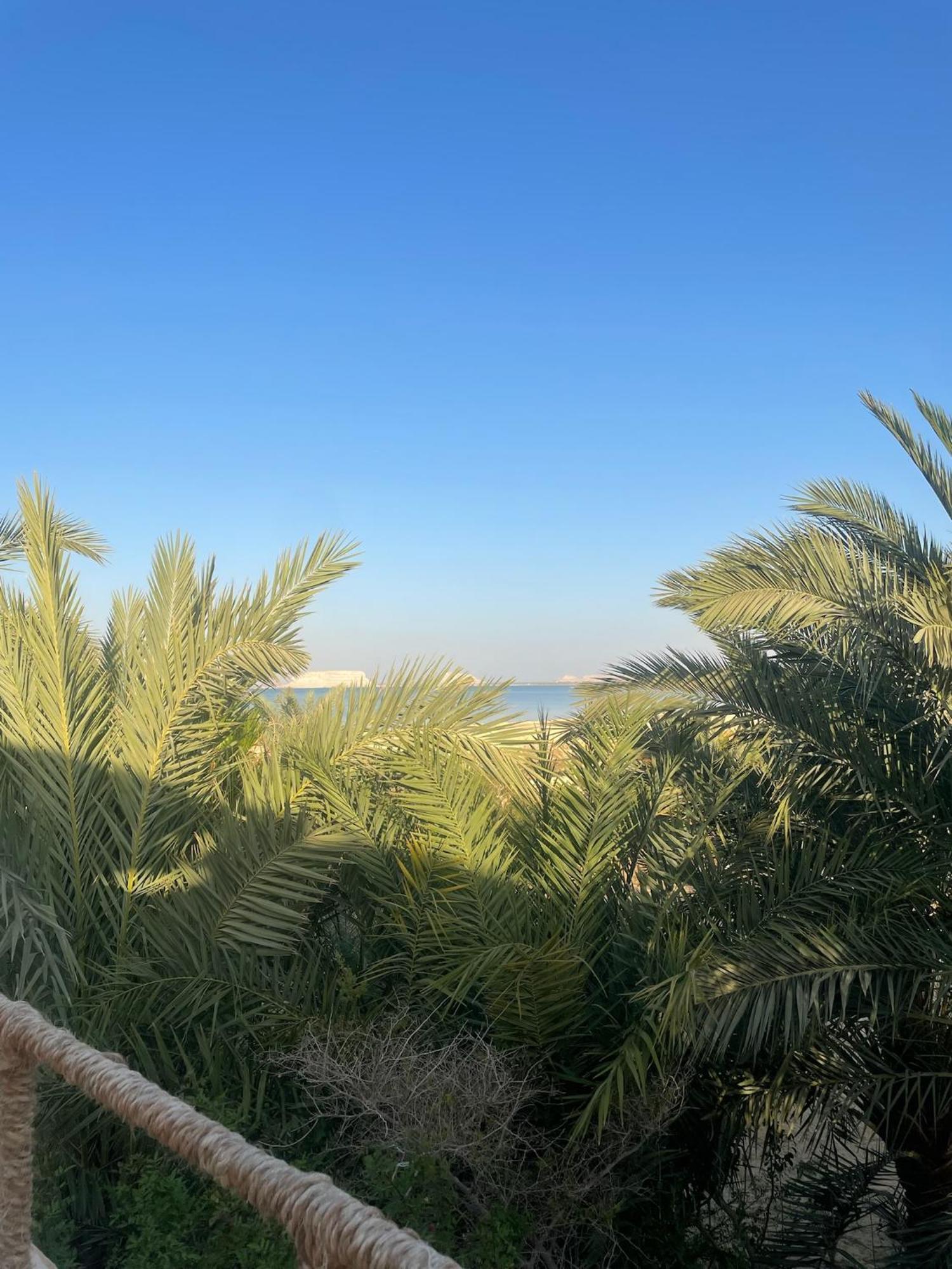 The Nest Hotell Siwa Oasis Exteriör bild